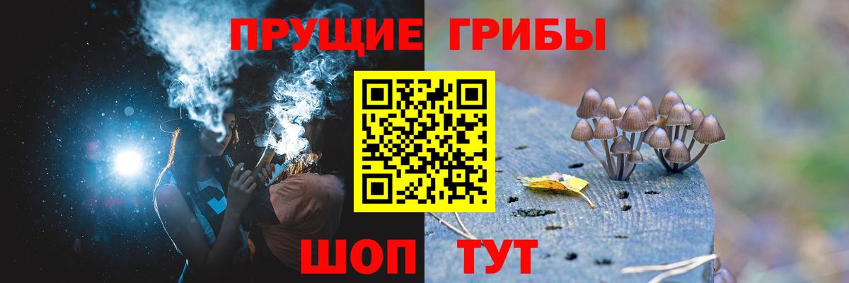 где можно купить наркотик  Галлюциногенные грибы MAGIC MUSHROOMS  Вход с VPN  Крымск 